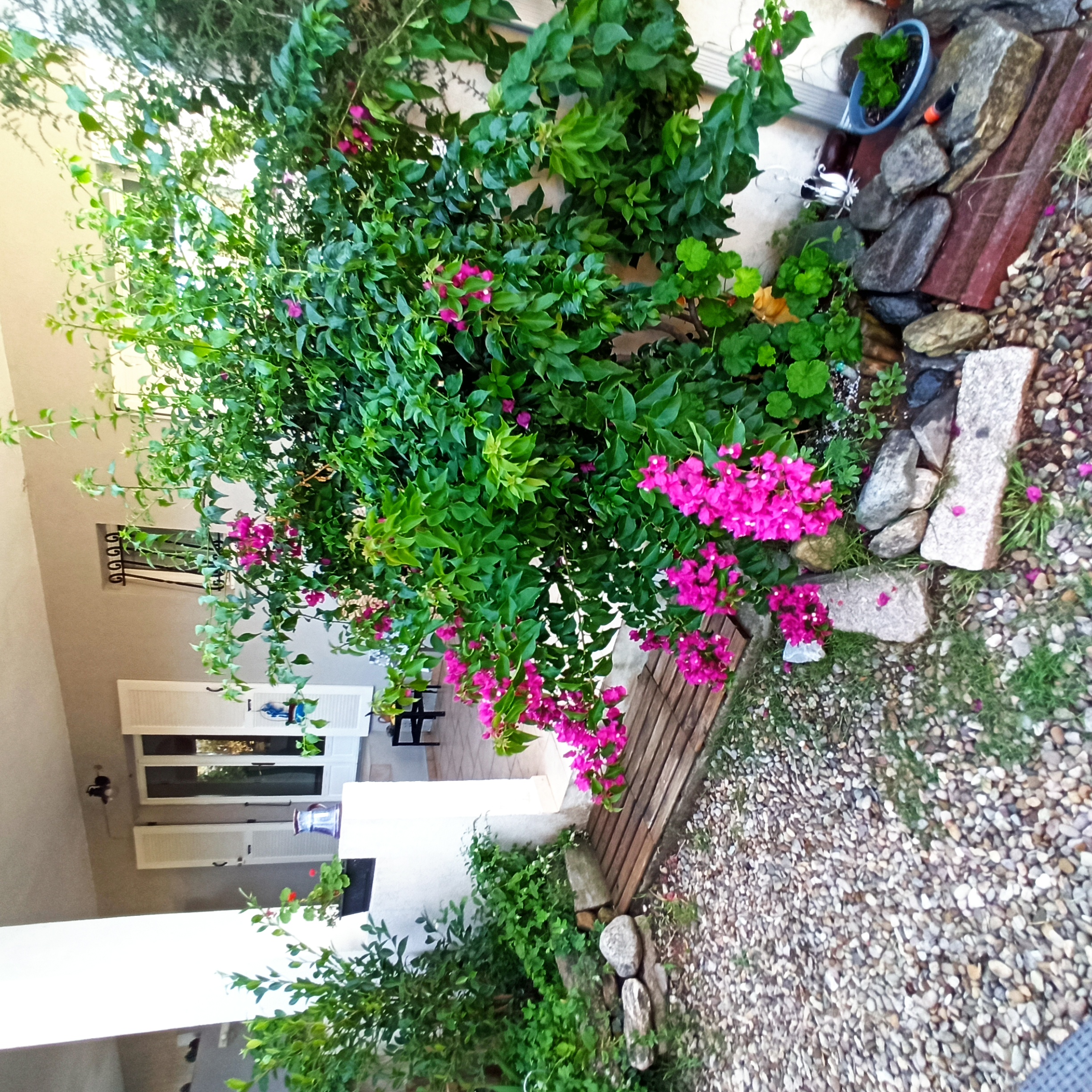 Appartement Prunete Finocchi, Corse